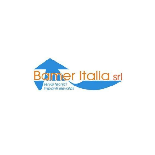 realizzazione sito web seo copywriting installazione manutenzione ascensori bamer italia srl roma logo